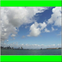 SD Bay.jpg